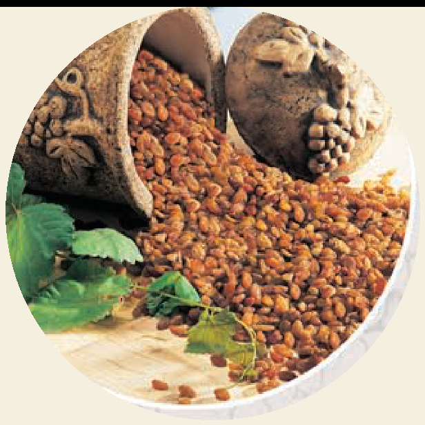 TARIŞ sultana-rozijnen 1 kg